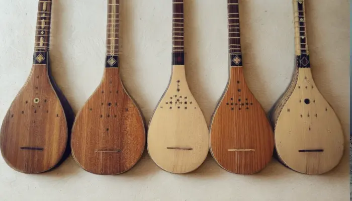 راهنمای خرید سه تار